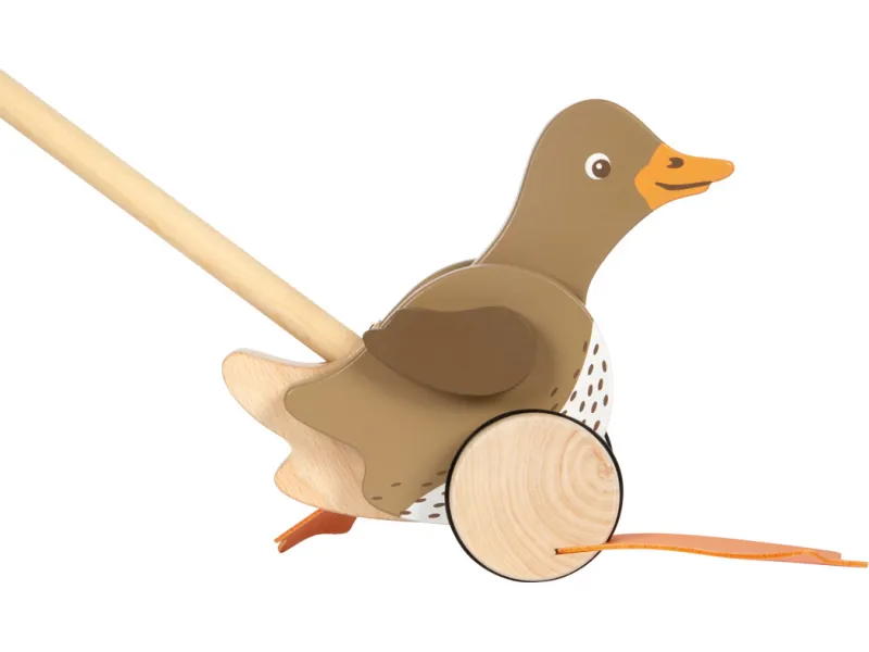 Push-Along Duck with Moving Head